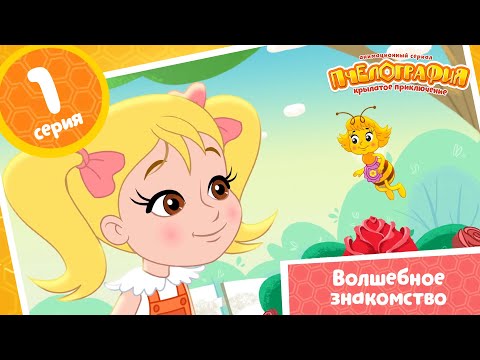 Видео: Пчелография 🐝 1 серия 🐝 Волшебное знакомство ⭐ Мультики для детей