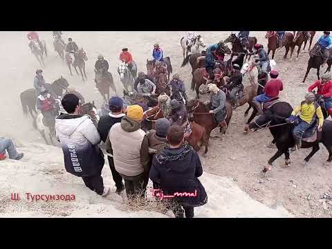 Видео: #tajmma1 БУЗКАШИ ДАР Ш. ТУРСУНЗОДА (ҚАМБАР) 2024