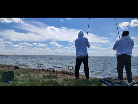 Видео: Открытие сезона по карповой ловле Узунколь