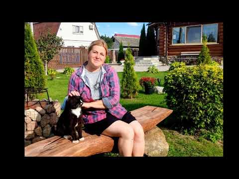 Видео: "Памяти моего кота" стихотворение Елены Бахмацкой. Читает автор