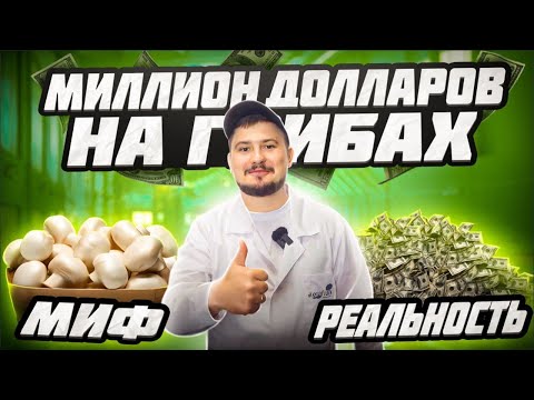 Видео: Миллион долларов на грибах: Миф или реальность? Отзывы наших учеников из академии AgroHub
