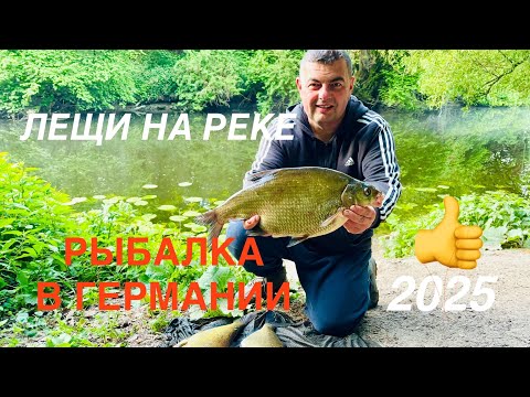 Видео: ЛЕЩИ НА РЕКЕ - РЫБАЛКА В ГЕРМАНИИ