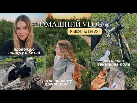 Видео: ДОМАШНИЙ ВЛОГ: душевные разговоры и закаты на поле 💛✨🌾 провожаю подругу в Китай!