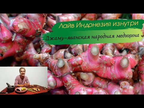 Видео: Джаму–народная медицина острова Ява. Лайв Индонезия изнутри  1