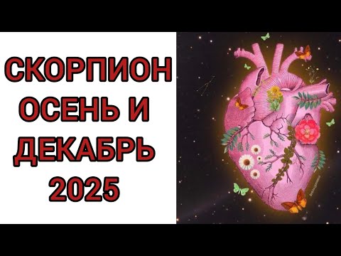 Видео: СКОРПИОН♏️ | ОСЕНЬ 🍂 И ДЕКАБРЬ❄️ | ТАРО | 2025