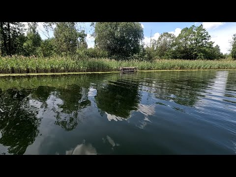 Видео: Твичинг воблеров единственное что приносит поклёвки щуки!