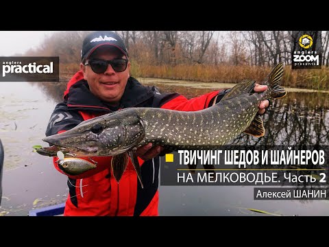 Видео: Твичинг шедов и шайнеров на мелководье. Алексей Шанин. Часть 2. Anglers Practical