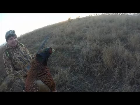 Видео: 2 В 1 ОХОТА В НОЯБРЕ НА РАСКАТАХ И В СТЕПИ