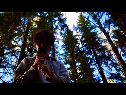 Видео: АСМР ПРИЯТНЫЕ ТРИГГЕРЫ НА ПРИРОДЕ / ASMR TRIGGERS