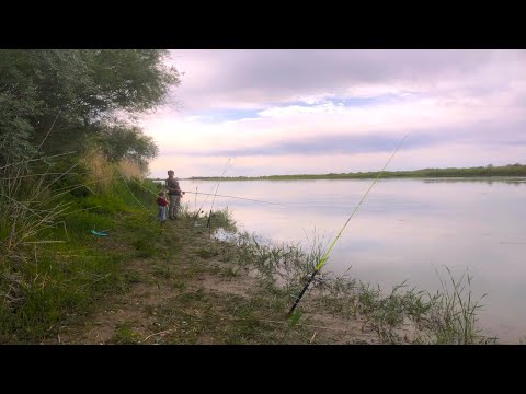 Видео: рыбалка на диких берегах, открытие сезона 2020 на крупной реке