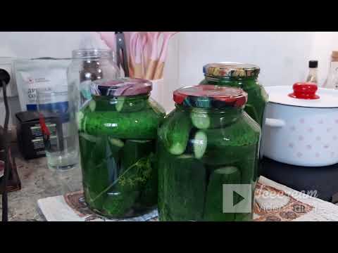 Видео: Маринованные корнишоны 