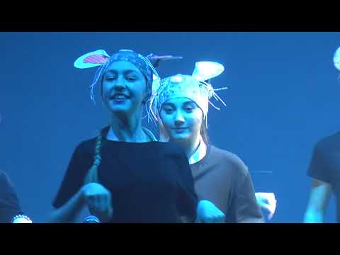 Видео: Мюзикл "Котовасия-Катавасия". Евгений Ямбург. Школа № 109 г. Москвы