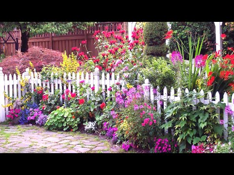 Видео: Великолепные ландшафтные композиции для садового участка / Ideas for decorating a garden/ #ландшафт