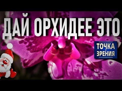 Видео: ДАЙ ОРХИДЕЕ ЭТО ДЛЯ ПЫШНОГО И КРУПНОГО ЦВЕТЕНИЯ И ОРХИДЕЯ БУДЕТ ЦВЕСТИ И РАСТИ КРУГЛЫЙ ГОД!