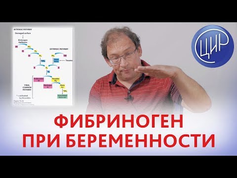 Видео: ФИБРИНОГЕН при БЕРЕМЕННОСТИ. Превращение фибриногена в фибрин и тромбоз при беременности.