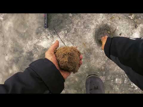 Видео: Жидкая прикормка и шитик, тянут рыбу как магнит