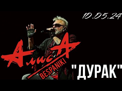 Видео: 10.05.24 - АлисА - "Дурак" - Чёрная метка ХХХ лет