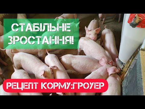 Видео: Рецепт комбикорма для поросят. Гровер для поросят. Гроуэр. Второй шаг.