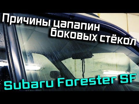 Видео: Взбадриваем бархотки на Subaru Forester SF