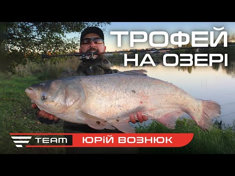 Видео: Неочікуваний улов! Як витягти гігантського товстолоба на тонкий шнур?