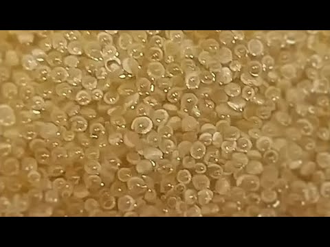 Видео: Амарант. Амарантовая каша как готовить. Щирица.