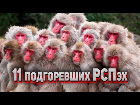 Видео: 11 РСПэх подорвало от собственности бывших. Четыре квартиры и дорогая тачка не дают покоя бывшей..