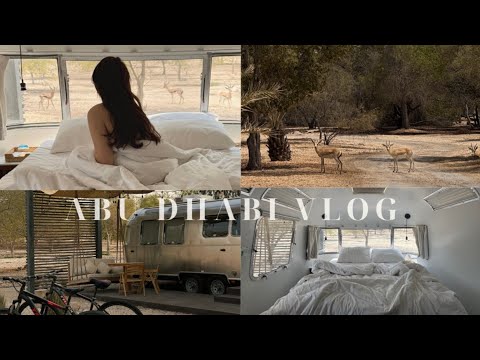 Видео: ABU DHABI VLOG|Секретный курорт в пустыне:Bab Al Nojoum Al Mugreihrah🌵🦌✨