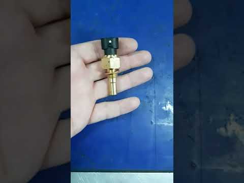 Видео: Калина плавают обороты