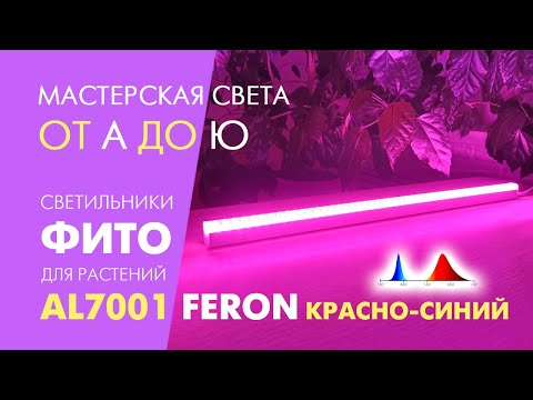 Видео: Обзор фитосветильников Feron AL7001 9W, 14W, 18W:  LED фитолампы для рассады, молодых растений