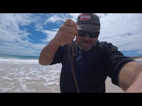 Видео: Пляжный лов, часть 3. Советы, ручные приманки, ночь, одежда. Южная Австралия.
