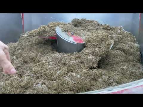 Видео: Кормораздатчик: важные моменты