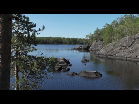 Видео: 2 ЧАСТЬ КАМЕННОЕ ЦАРСТВО