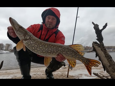 Видео: УДАЧНО открыл 2025 год со СПИННИНГОМ на Москва-реке! Зимний спиннинг, рыбалка на ДЖИГ и ВОБЛЕРЫ!