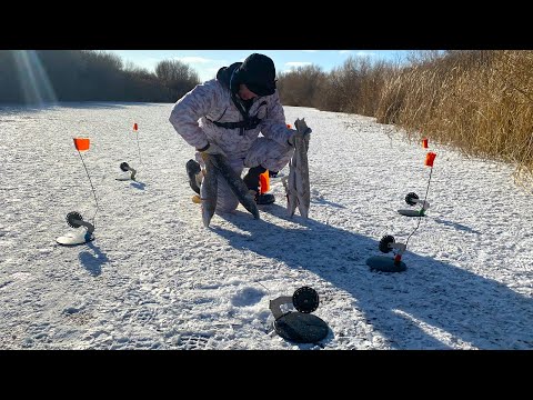 Видео: ТУТ ПОЛНО ЩУКИ! НЕ УСПЕВАЮ ВЫСТАВИТЬ ЖЕРЛИЦЫ ! Наконец ПЕРВЫЙ ЛЁД!