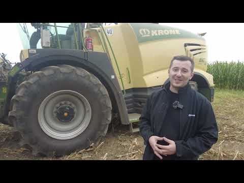 Видео: KRONE BIG X 680 на заготовке кукурузного силоса