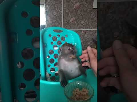 Видео: Мать злюка