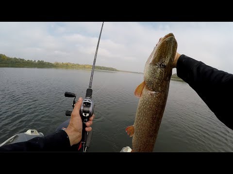Видео: Нашёл БОЛЬШИХ ЩУК сидящих в ДРЕВНИХ КОРЯГАХ!!! (ЛУЧШАЯ РЫБАЛКА!!!)