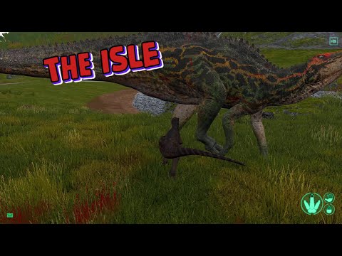 Видео: THE ISLE - Ютараптор врывается в Стадо Травоядных!