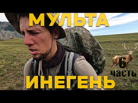 Видео: АЛТАЙ. Изба. Марал. Слияние рек. Мульта - Инегень 6 часть