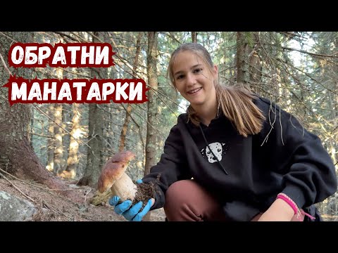 Видео: Говорещият със #сърнички и обратните #манатарки 