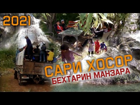 Видео: Тамошои Сари Хосор