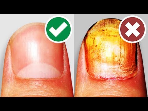 Видео: Топ10 Способов ЗАВОЕВАТЬ АВТОРИТЕТ в Школе!