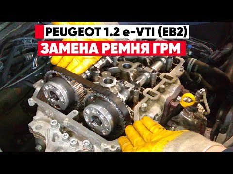 Видео: 1.2 e-Vti EB2 с Мокрым Ремнём! Почему Его Надо Менять Уже на 50 000 км? ЗАМЕНА РЕМНЯ ГРМ на Peugeot