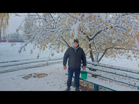 Видео: В этом году больше не будет. Воспитательный момент.