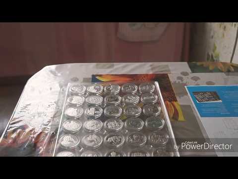 Видео: Листы для хранения монет в капсулах leuchtturm