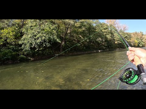 Видео: Риболов с брутални кефалски атаки през есента  Първа част Fly Fishing with brutal chub attacks. 1