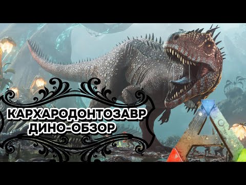 Видео: ARK: SURVIVAL EVOLVED ДИНО-ОБЗОР: КАРХАРОДОНТОЗАВР. ПРИРУЧЕНИЕ, СПОСОБНОСТИ, ОСОБЕННОСТИ