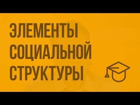 Видео: Элементы социальной структуры. Видеоурок по обществознанию 11 класс