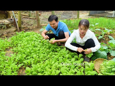Видео: Овощной урожай Майи начался с семян. Роберт | Жизнь в зелёном лесу