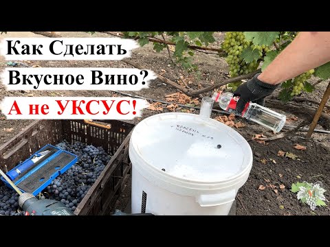 Видео: Как СДЕЛАТЬ ВКУСНОЕ ВИНО, а не УКСУС?